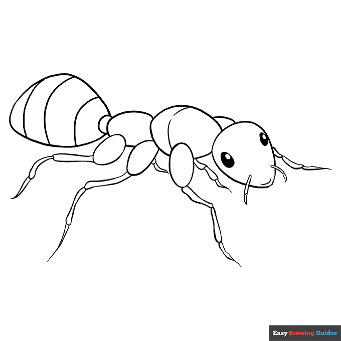 Free printable ant coloring page