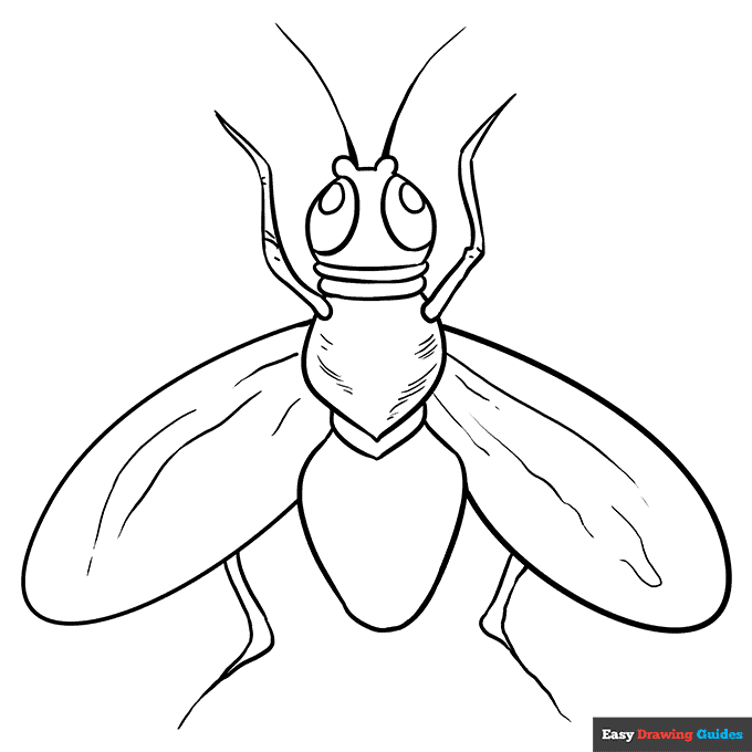 Free printable fly coloring page
