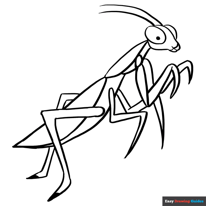 Free printable praying mantis coloring page