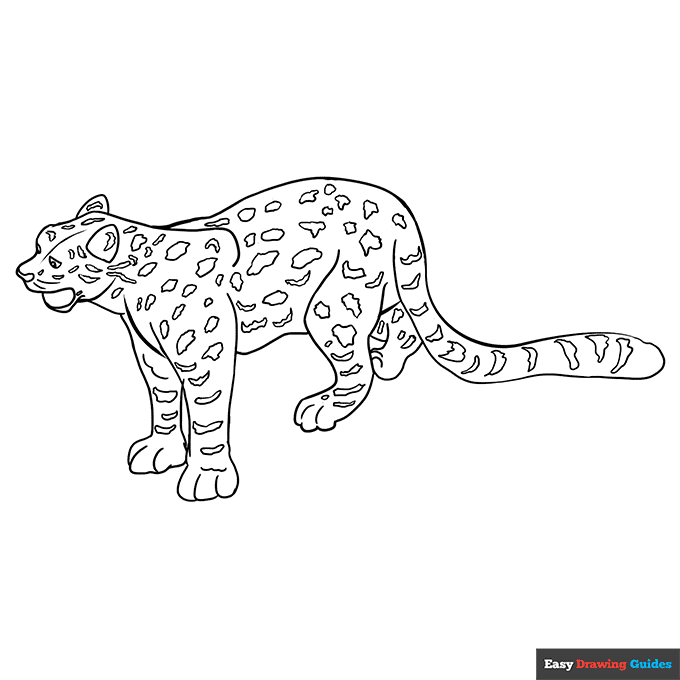 Free printable leopard coloring page