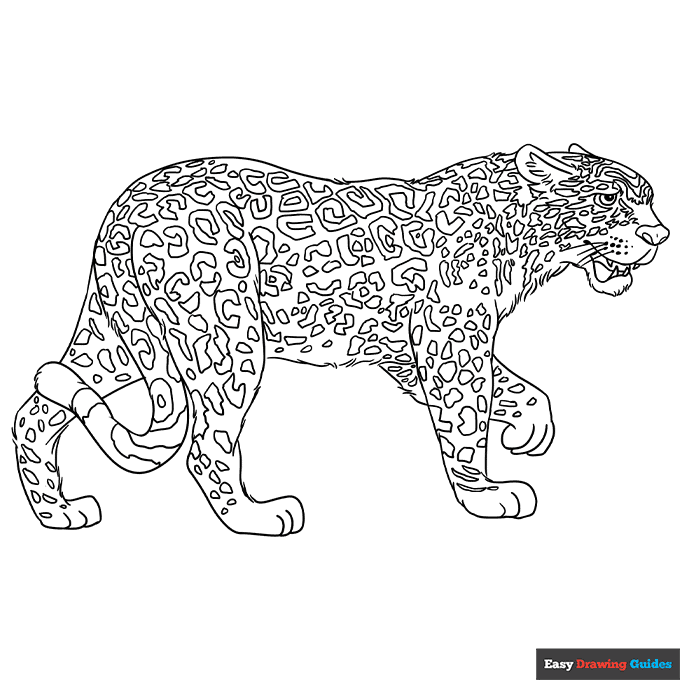 Free printable jaguar coloring page
