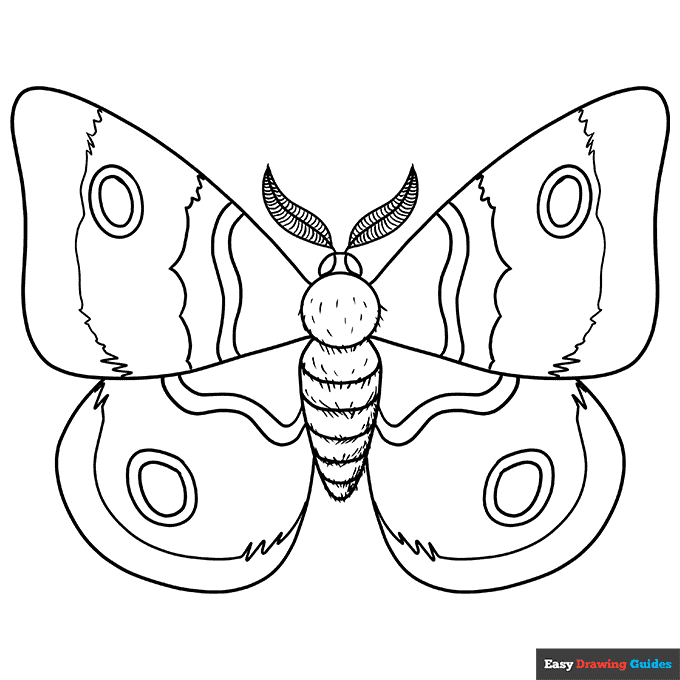 Free printable moth coloring page