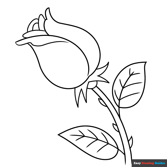 Free printable easy step by step rose drawing for kids coloring page