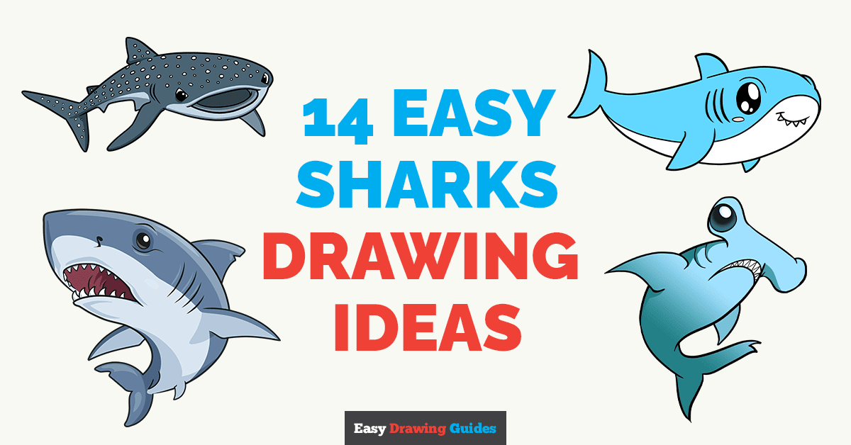 14 Easy Sharks Drawing Tutorials for Kids Featured Image