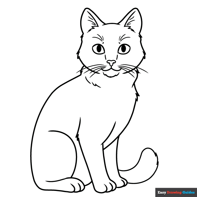 Coloring image: Free printable Realistic Cat coloring page