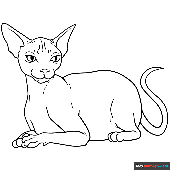 Free printable sphynx cat coloring page