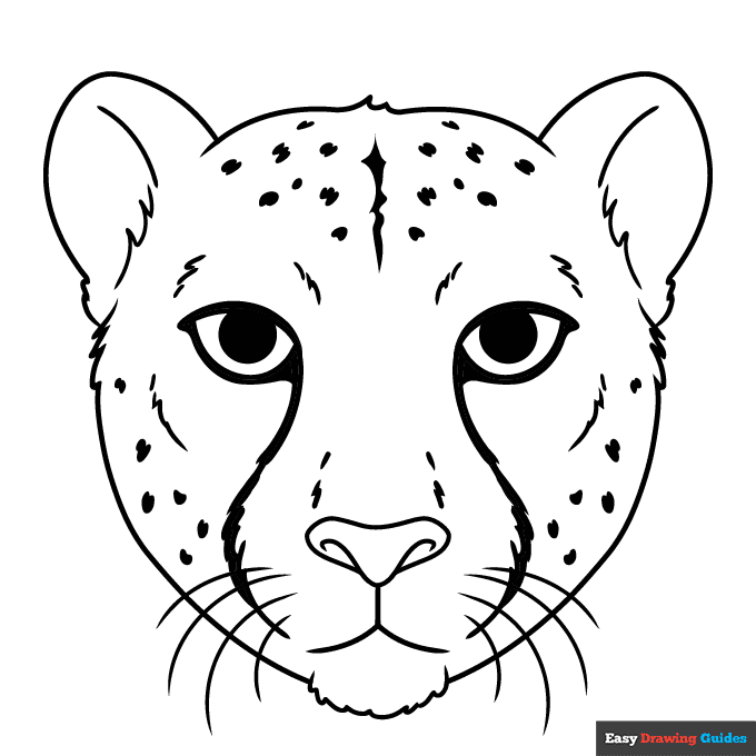 Free printable cheetah face coloring page