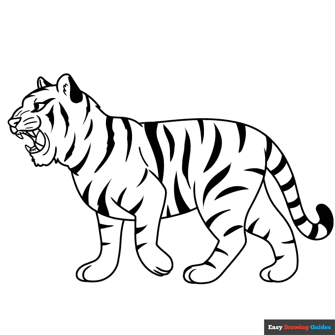 Free printable tiger roaring coloring page