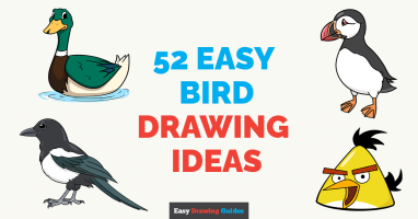 52 Easy Bird Drawing Tutorials