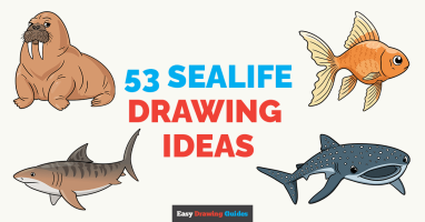 53 Sealife Drawing Tutorials for Kids