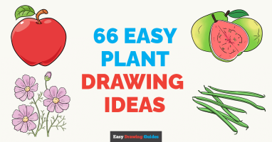 66 Step by Step Plant Drawing Tutorials