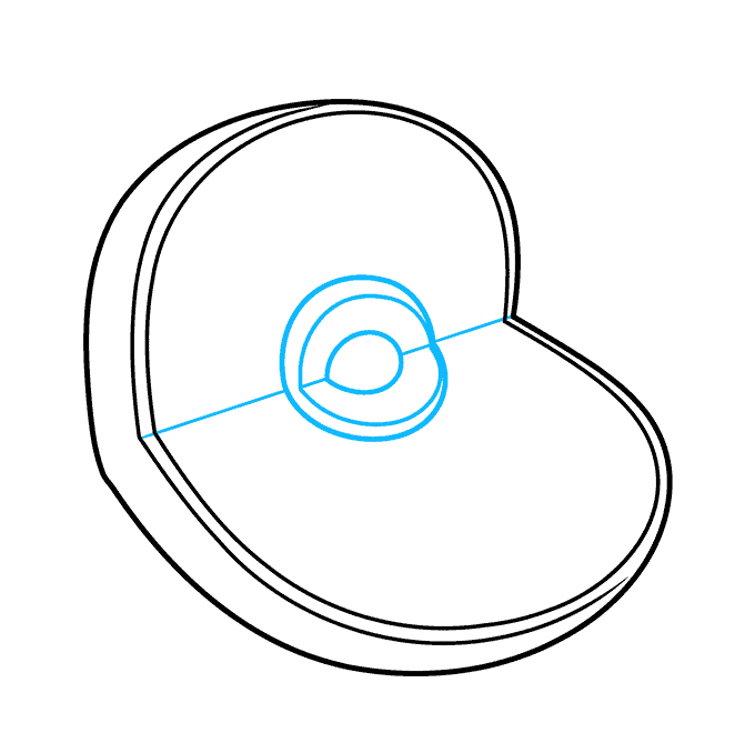 How to Draw an Animal Cell Step 02