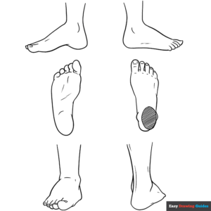 How to Draw Anime Female Legs Reference Drawing