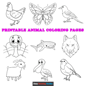 Free printable printable animal coloring sheets - featured image