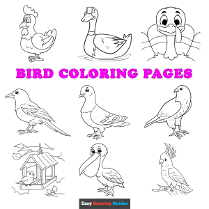Free printable bird coloring sheets - featured image