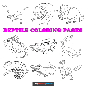 Free printable reptile coloring sheets - featured image