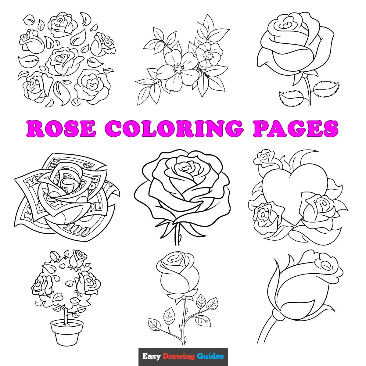 Free printable rose coloring sheets - featured image
