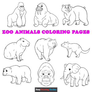 Free printable zoo animals coloring sheets - featured image