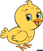 How to Draw a Baby Bird