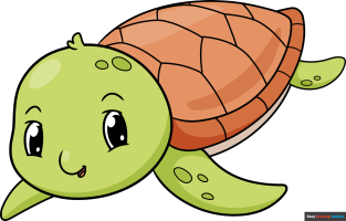 How to Draw a Baby Turtle