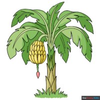 How to Draw a Banana Tree