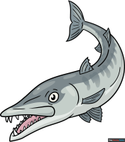 How to Draw a Barracuda