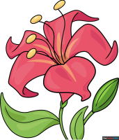 How to Draw a Beautiful Flower