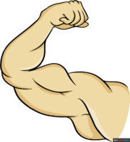 How to Draw a Biceps