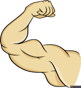 How to Draw a Biceps Featured Image
