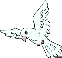 How to Draw a Bird