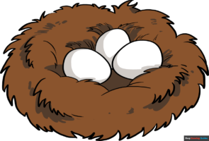 How to Draw a Bird Nest