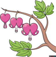How to Draw a Bleeding Heart Flower