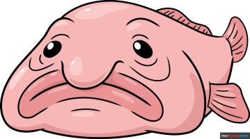 How to Draw a Blobfish
