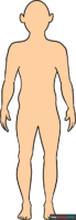 How to Draw a Body Outline