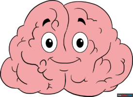 How to Draw a Brain