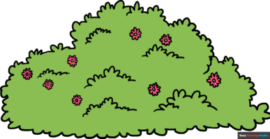 How to Draw a Bush