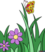 How to Draw a Butterfly Garden