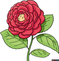 How to Draw a Camellia