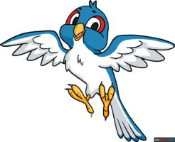 How to Draw a Cartoon Bird