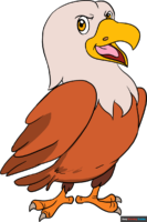 How to Draw a Cartoon Hawk