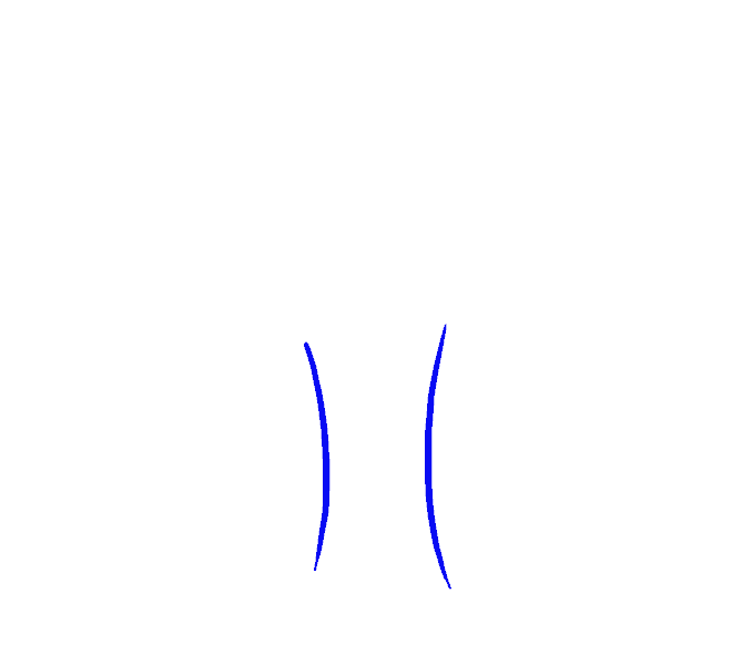 How to draw a cartoon tree Step: 1
