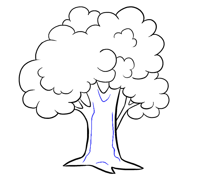How to draw a cartoon tree Step: 15