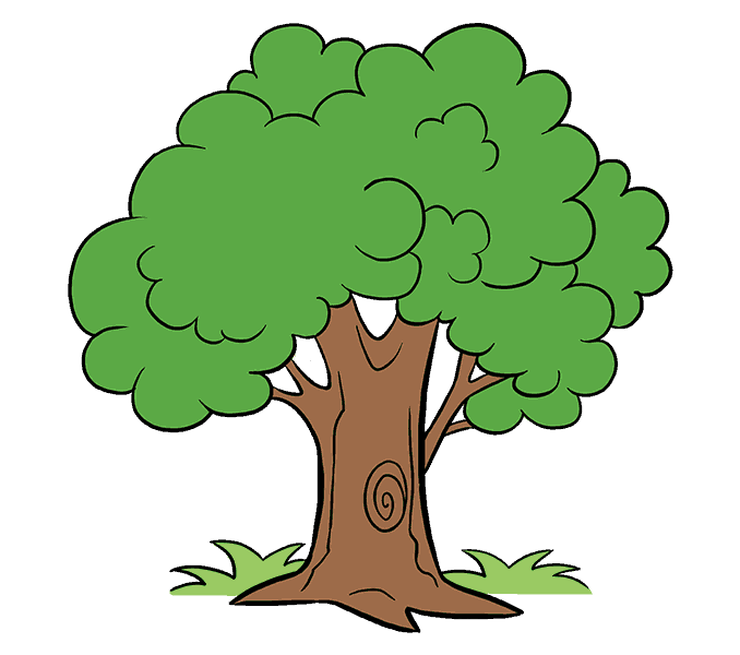How to draw a cartoon tree Step: 20
