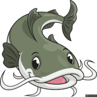 How to Draw a Catfish