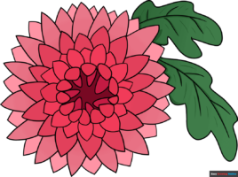 How to Draw a Chrysanthemum