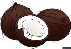 How to Draw a Coconut