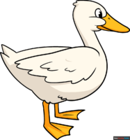 How to Draw a Duck
