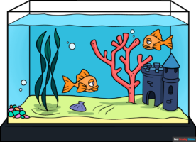 How to Draw a Fish Tank