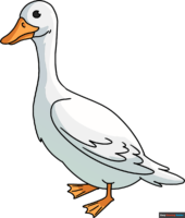 How to Draw a Goose