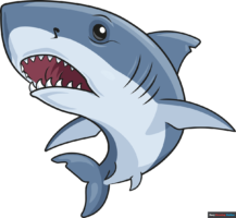 How to Draw a Great White Shark